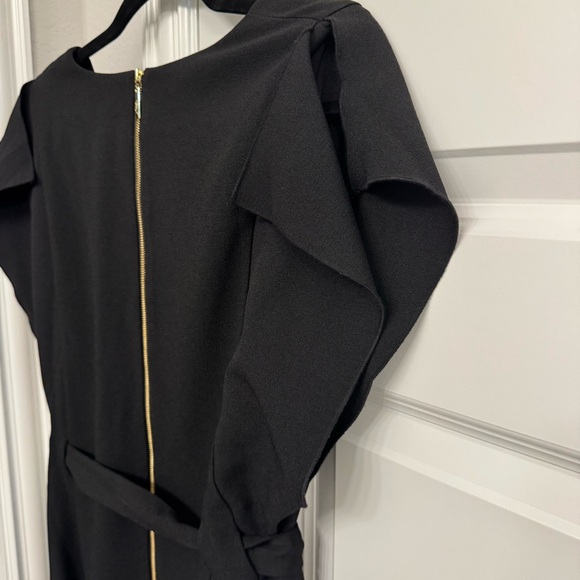 Eliza J Ruffle Sleeve Sheath Dress - Picture 4 of 6